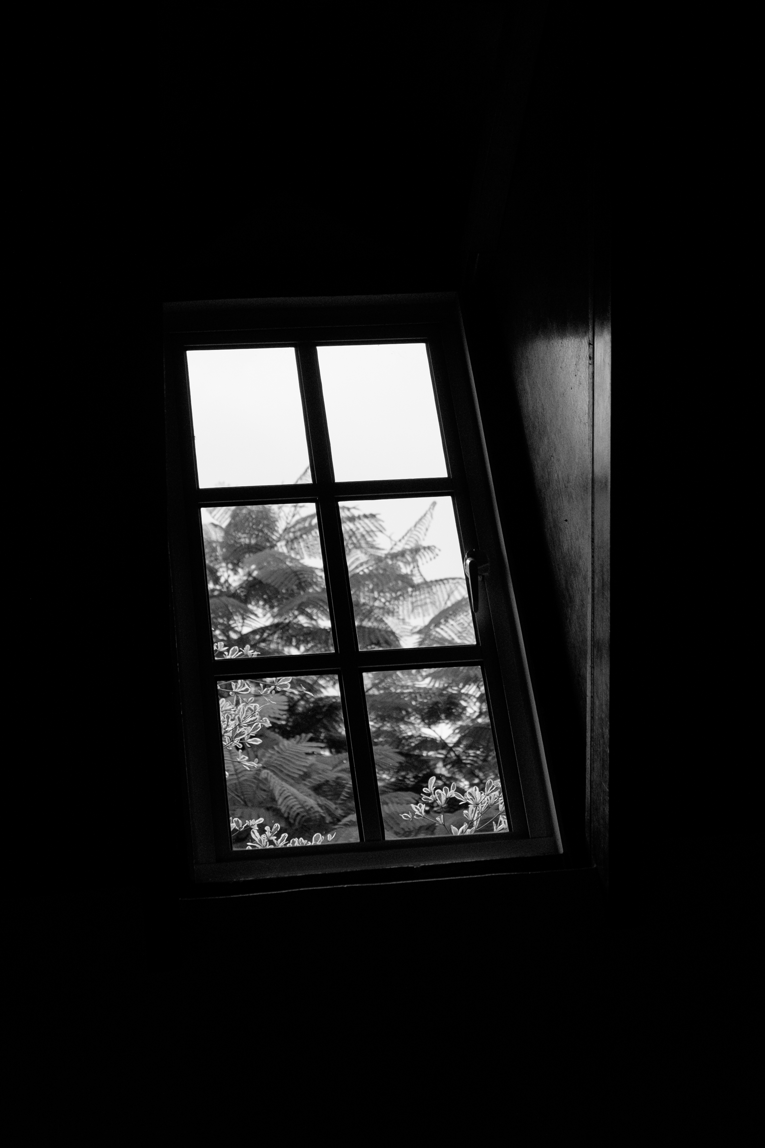 image15.jpg